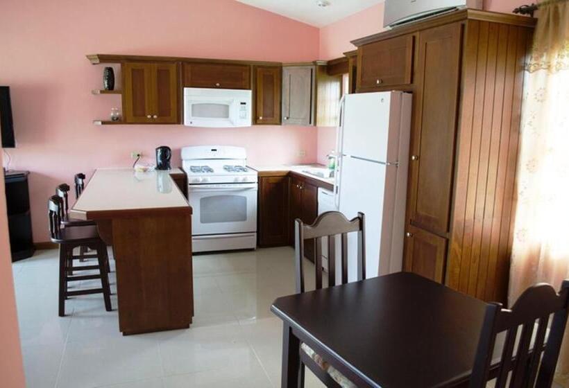 带1个卧室的公寓, Piarco Village Suites