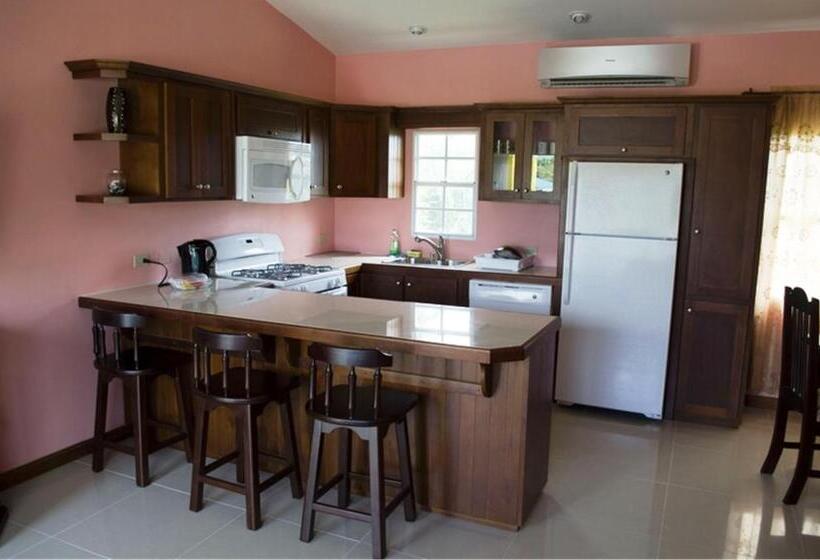 آپارتمان 1 خوابه, Piarco Village Suites