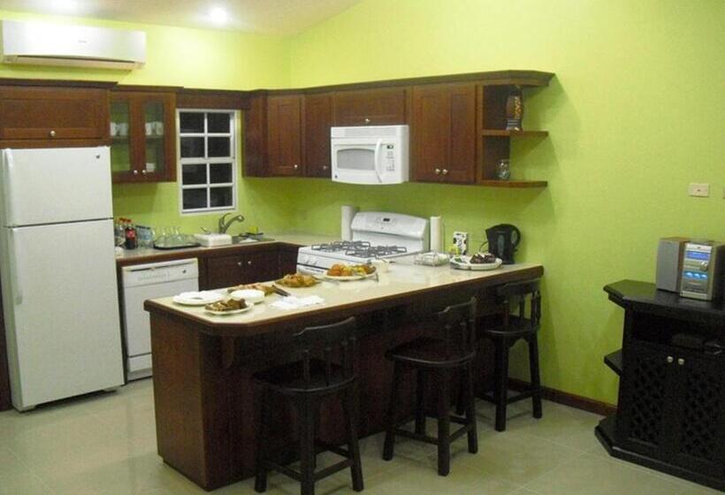 带1个卧室的公寓, Piarco Village Suites