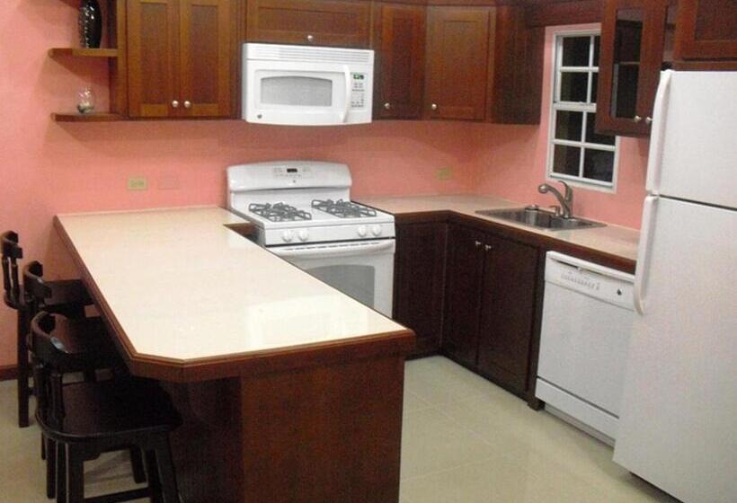 带1个卧室的公寓, Piarco Village Suites