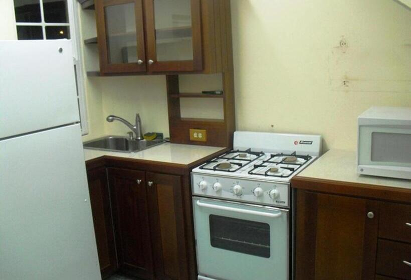 带1个卧室的公寓, Piarco Village Suites