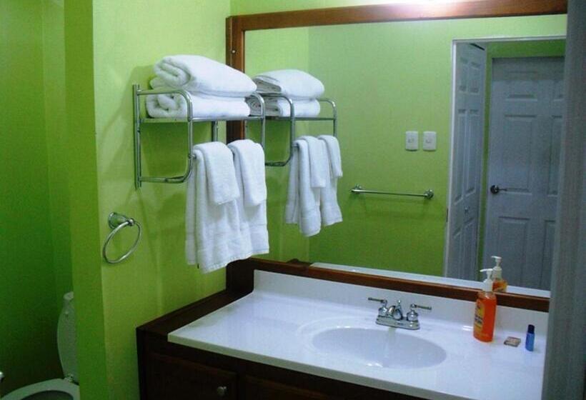 标准单人间, Piarco Village Suites