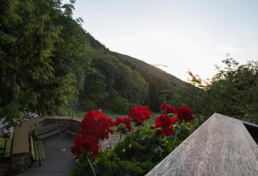 חדר סטנדרט, Wald Hotel Heppe