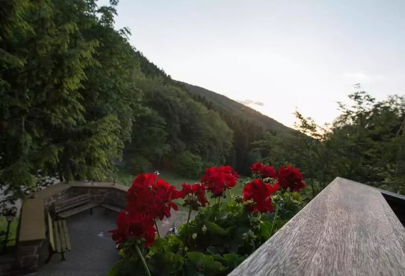 Standard-huone, Wald Hotel Heppe
