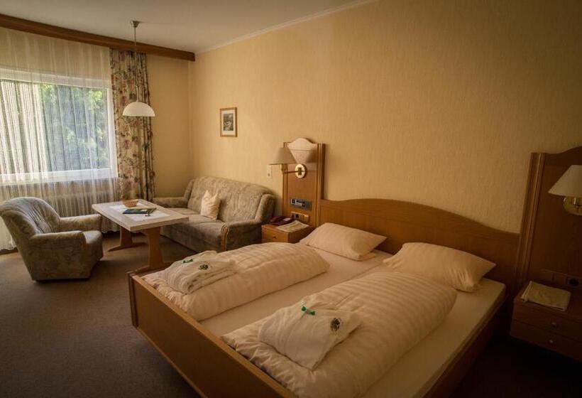 חדר סטנדרט, Wald Hotel Heppe