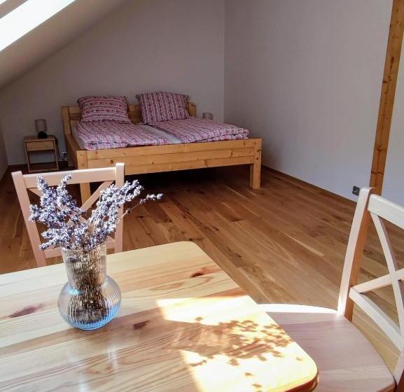 Семейный Номер, Vila Starý Mlýn