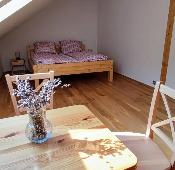 Pokój Rodzinny, Vila Starý Mlýn