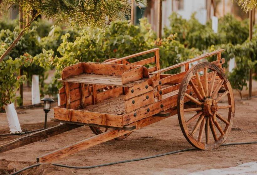 فيلا ديلوكس غرفة نوم, Hacienda Los Olivos, Valle De Guadalupe