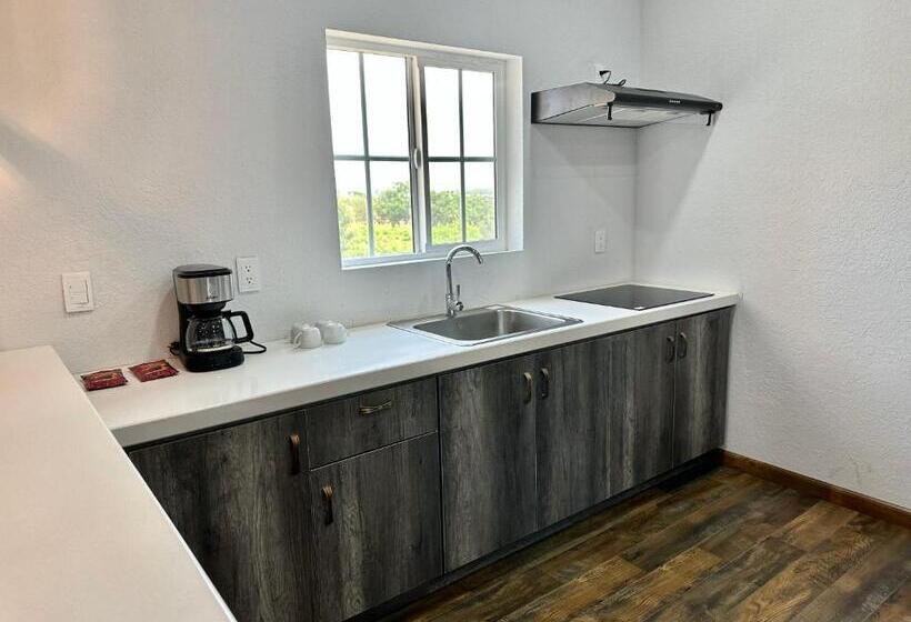 جناح ديلوكس, Hacienda Los Olivos, Valle De Guadalupe