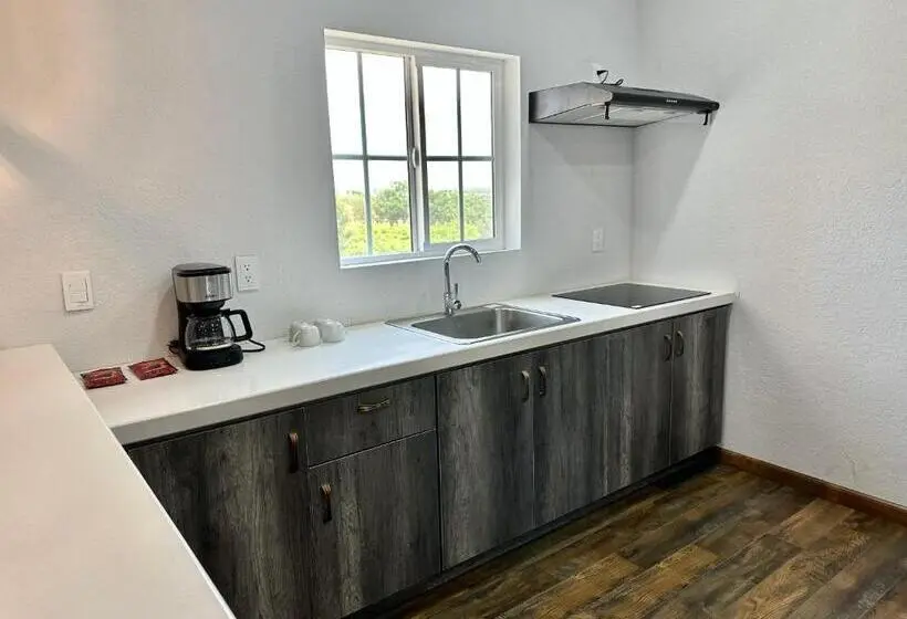 デラックススイート, Hacienda Los Olivos, Valle De Guadalupe