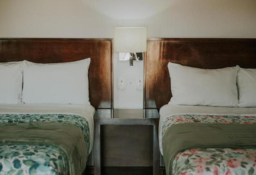 جناح ديلوكس, Hacienda Los Olivos, Valle De Guadalupe