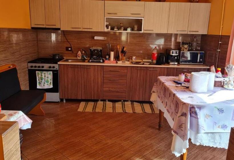 스탠다드 룸, Cabana Creț