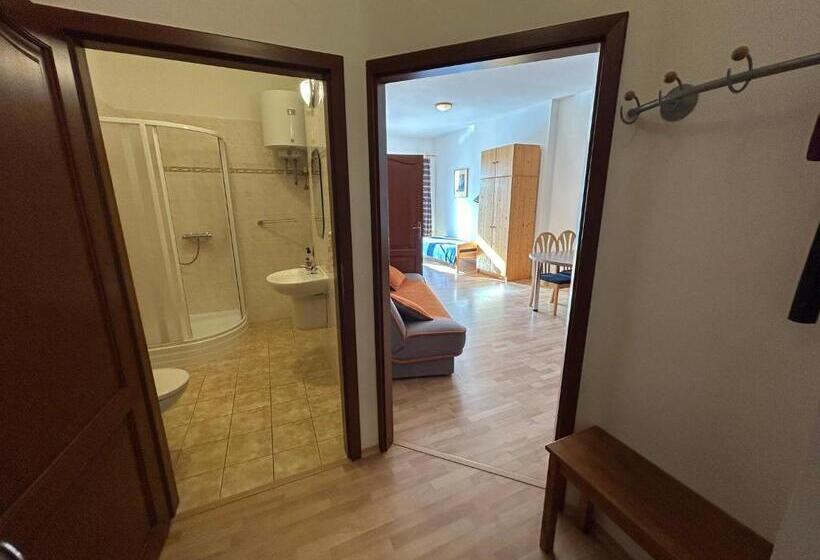 1 Szobás Apartman Terasszal, Penzion Maják