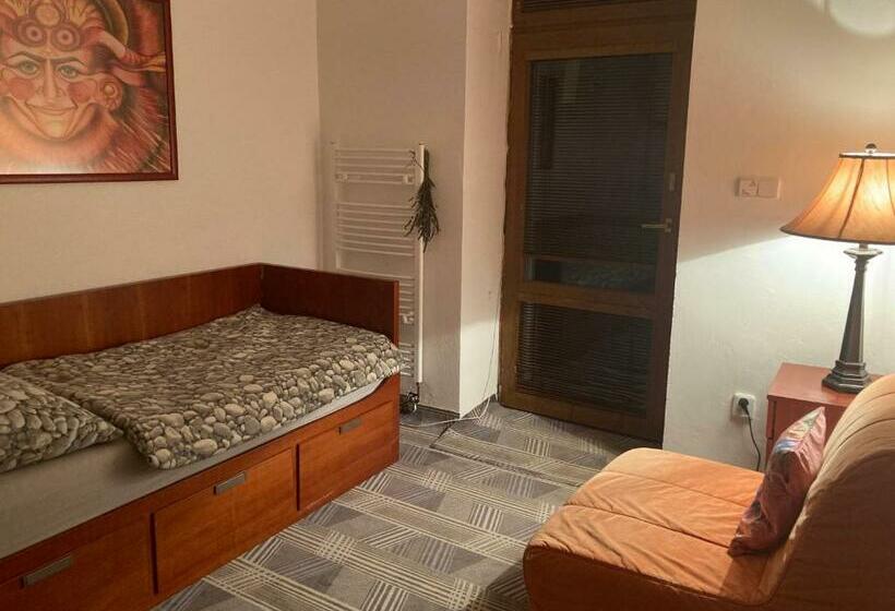 Номер Стандарт, Statek Polánka