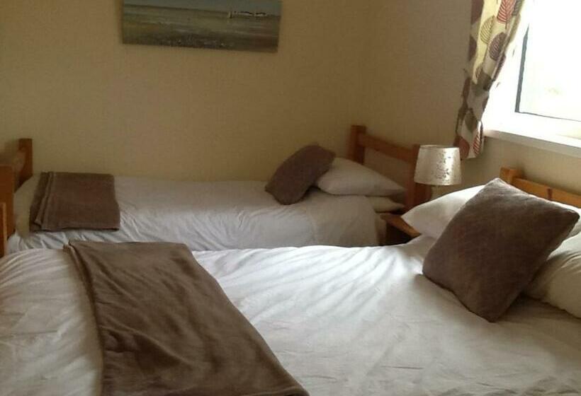 베이직 3인 룸, Joe And Aggies