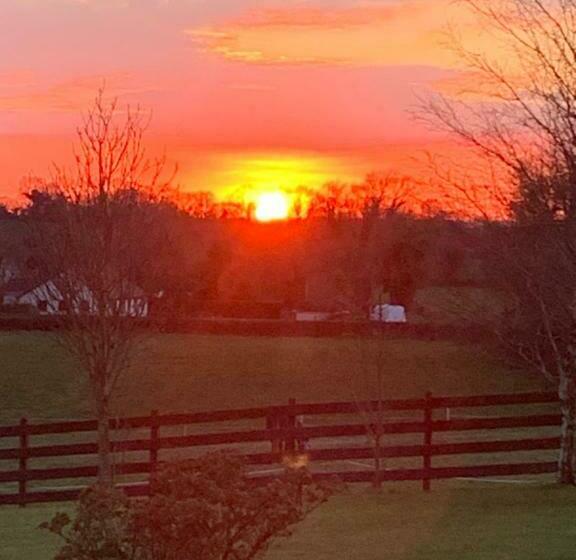 标准间, Windyridge