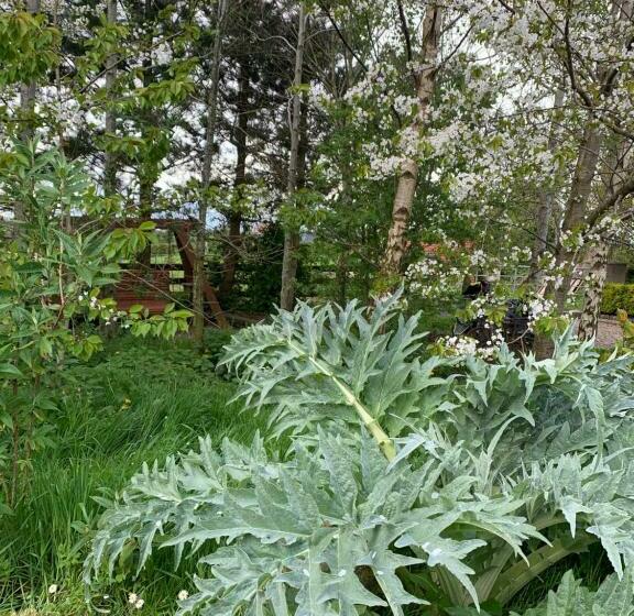 标准间, Windyridge