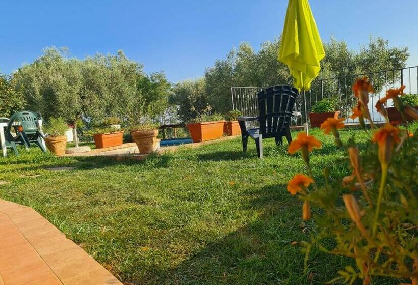 豪华海景房, Il Colle Degli Ulivi