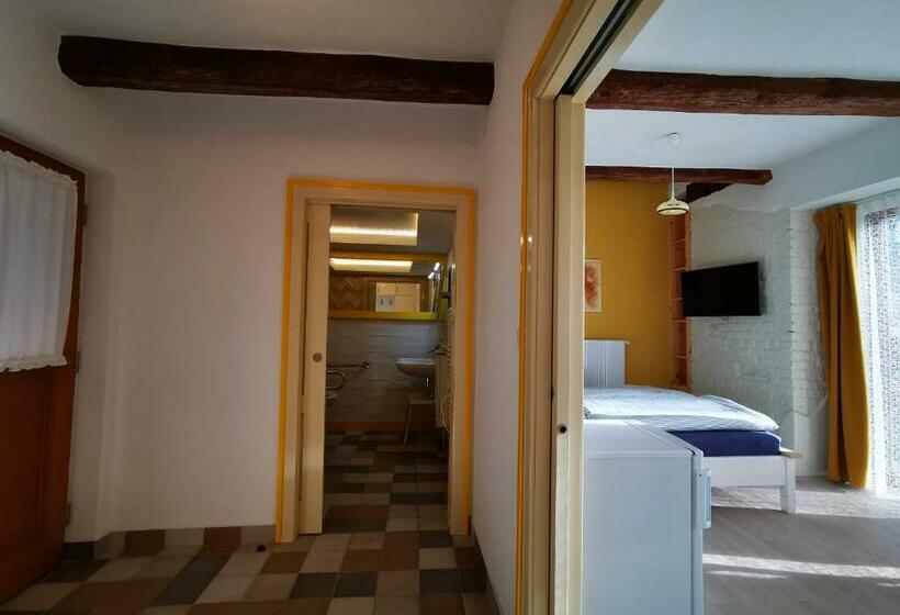 חדר סטנדרט מותאם לאדם עם מוגבלויות, Penzion Okamžik Stanovice