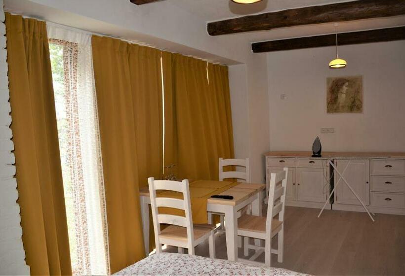 חדר סטנדרט מותאם לאדם עם מוגבלויות, Penzion Okamžik Stanovice