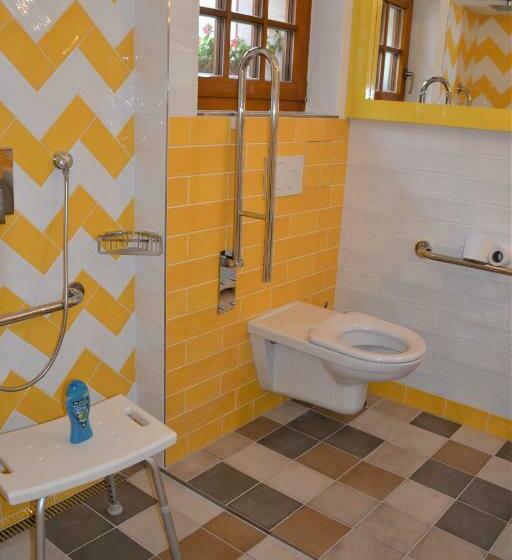 חדר סטנדרט מותאם לאדם עם מוגבלויות, Penzion Okamžik Stanovice