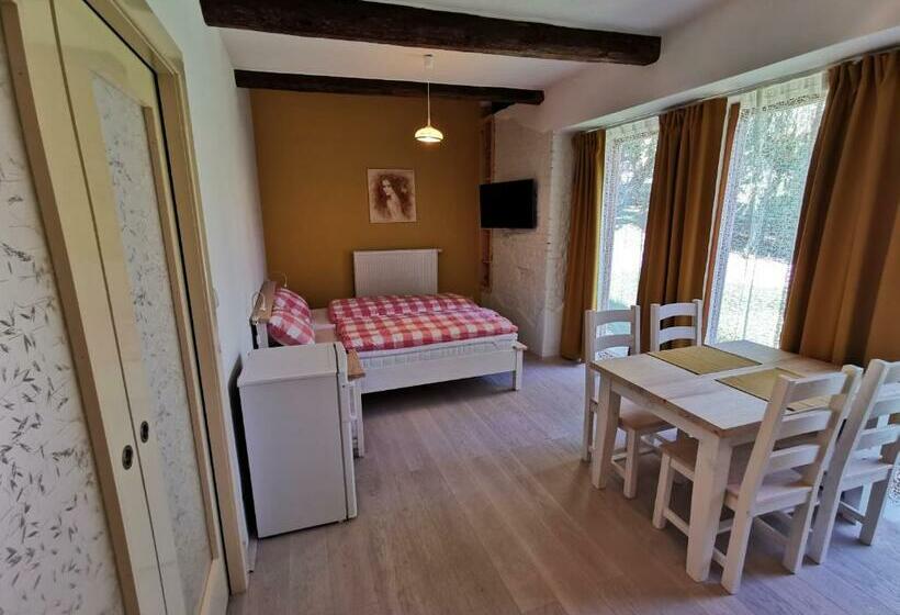 חדר סטנדרט מותאם לאדם עם מוגבלויות, Penzion Okamžik Stanovice