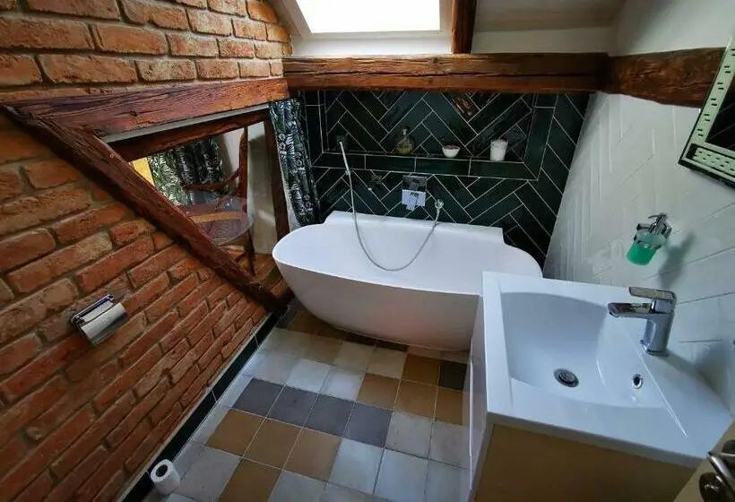 Deluxe-huone, Penzion Okamžik Stanovice