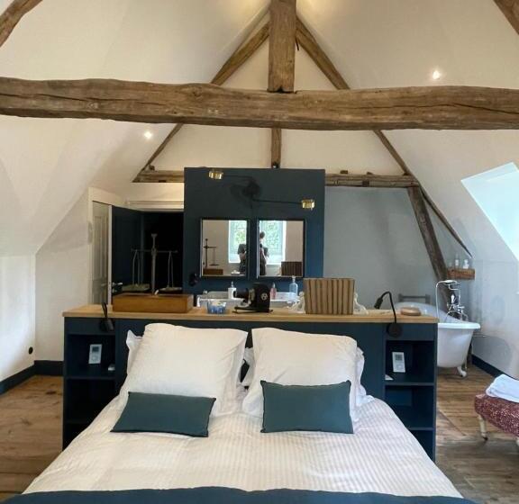 חדר דחוקס עם מיטת קינג, Château De Contay Guesthouse   1753