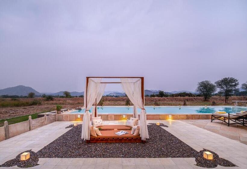 غرفة ديلوكس, Kesarbagh