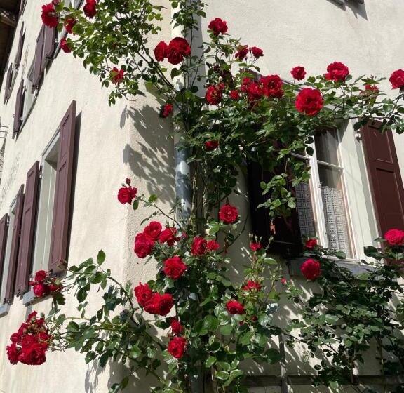 דירת שני חדרים, Gasthaus Beverin