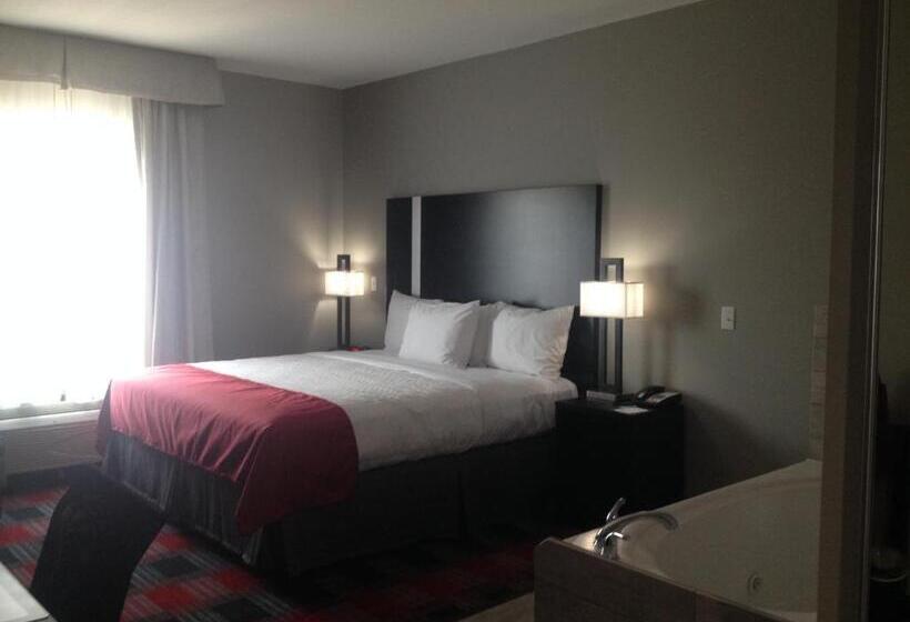 غرفة قياسية سرير كينج, Best Western Casino Inn