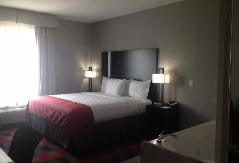 キングサイズベッドのスタンダードルーム, Best Western Casino Inn