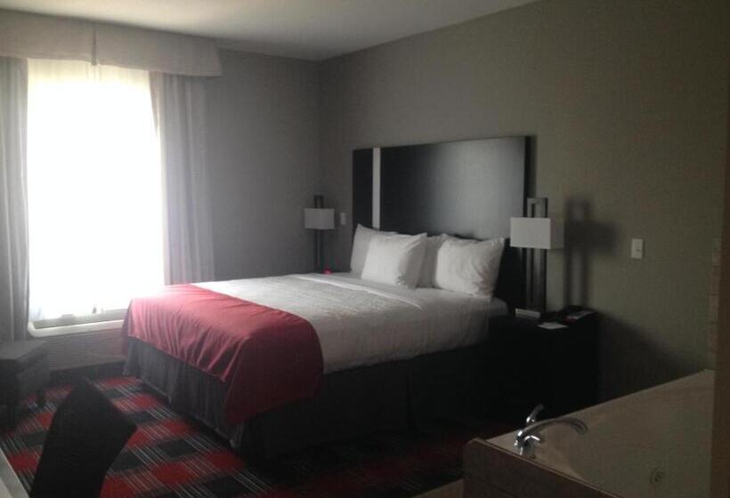 غرفة قياسية سرير كينج, Best Western Casino Inn