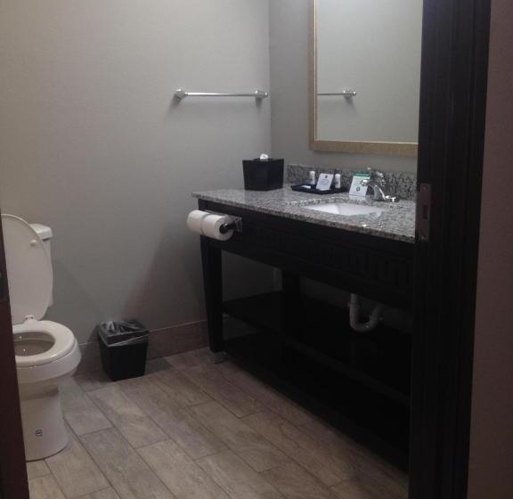 غرفة قياسية سرير كينج, Best Western Casino Inn