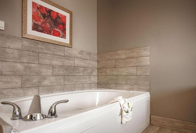 غرفة قياسية سرير كينج, Best Western Casino Inn