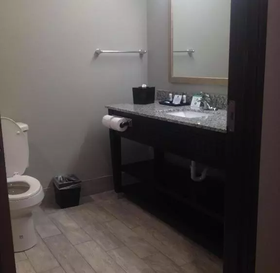 ２ダブルベッドのスタンダードルーム, Best Western Casino Inn