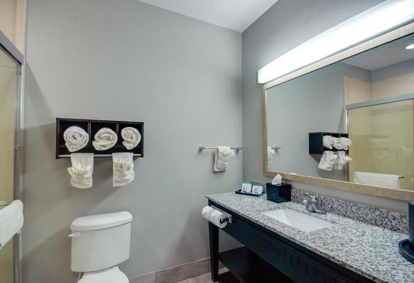 غرفه قياسيه سريرين مزدوجين, Best Western Casino Inn