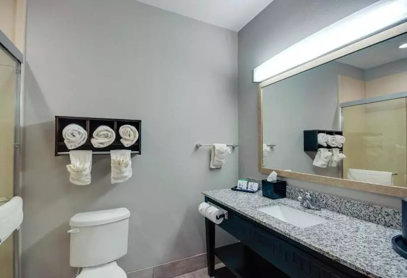 身障者適用キングサイズベッドルーム, Best Western Casino Inn
