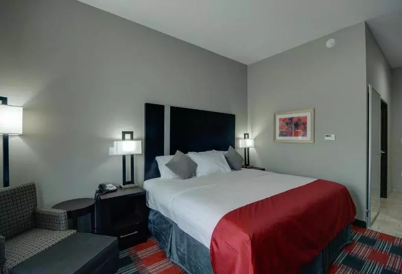 身障者適用キングサイズベッドルーム, Best Western Casino Inn