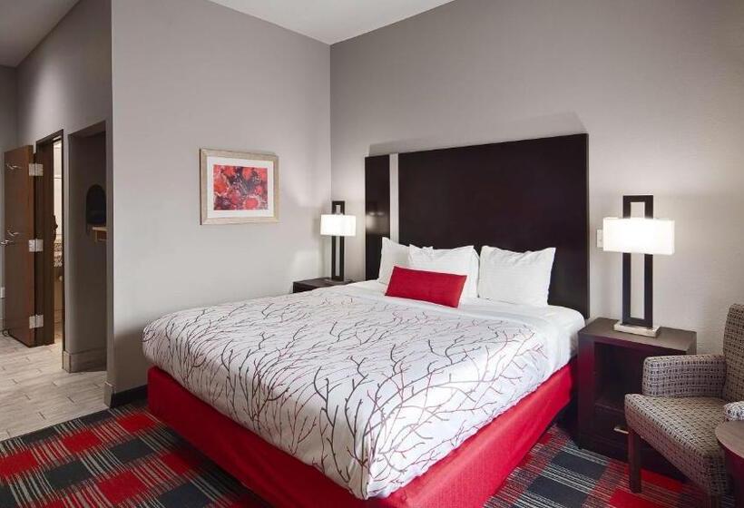 غرفة قياسية سرير كينج لذوى الإحتياجات الخاصة, Best Western Casino Inn