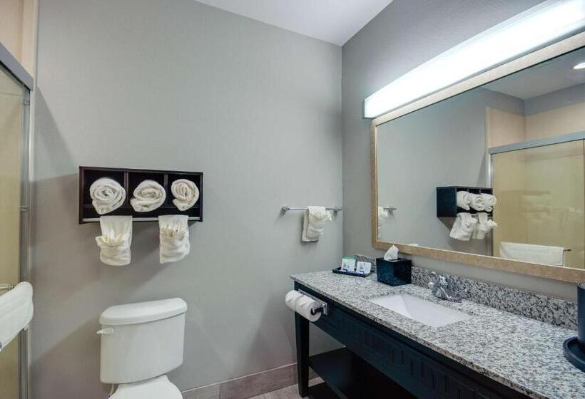 غرفة قياسية سرير كينج, Best Western Casino Inn