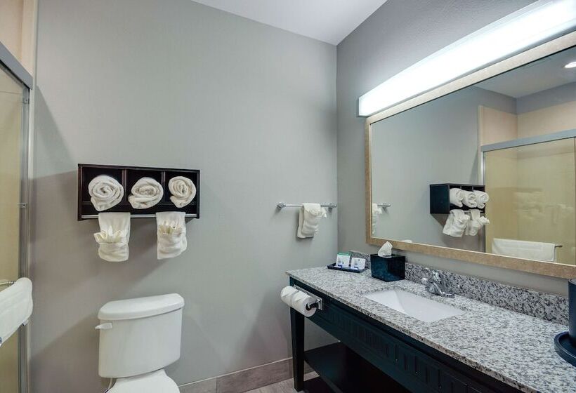 غرفه قياسيه سريرين مزدوجين, Best Western Casino Inn