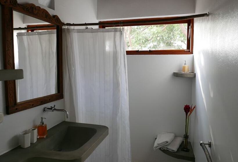סוויטה, Casa Verde