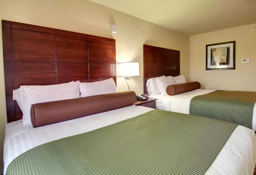 スタンダードルーム, Cobblestone Inn & Suites   Avoca