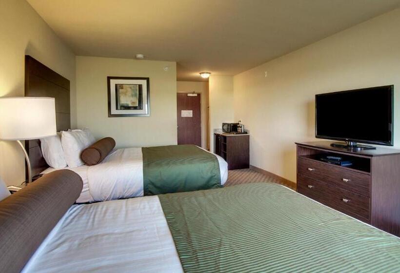 غرفة قياسية, Cobblestone Inn & Suites   Avoca