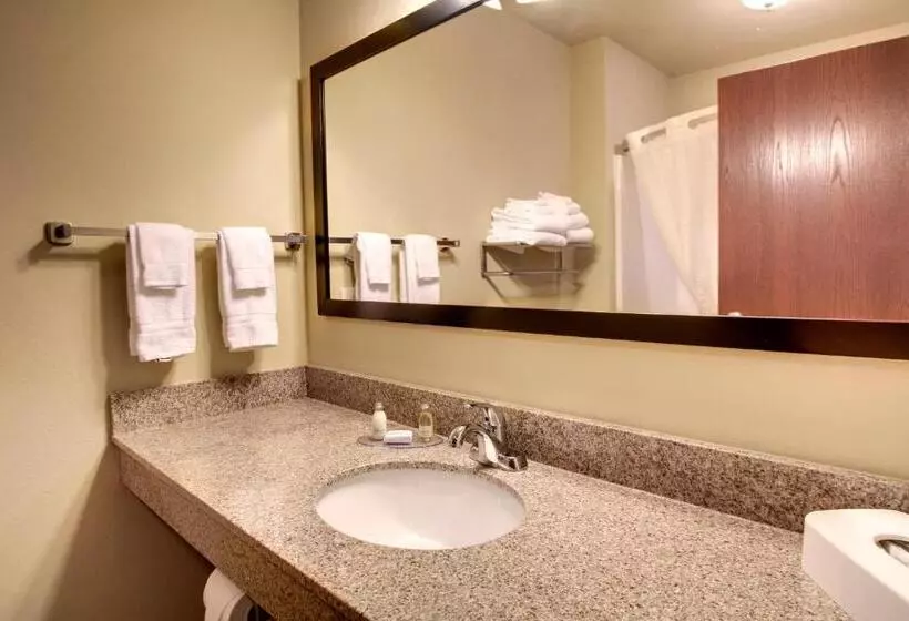 キングサイズベッドのスタンダードルーム, Cobblestone Inn & Suites   Avoca