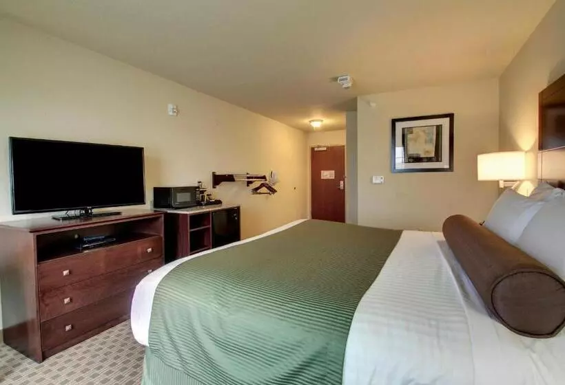 キングサイズベッドのスタンダードルーム, Cobblestone Inn & Suites   Avoca
