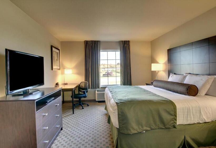 스탠다드 룸 킹사이즈 침대, Cobblestone Inn & Suites   Avoca