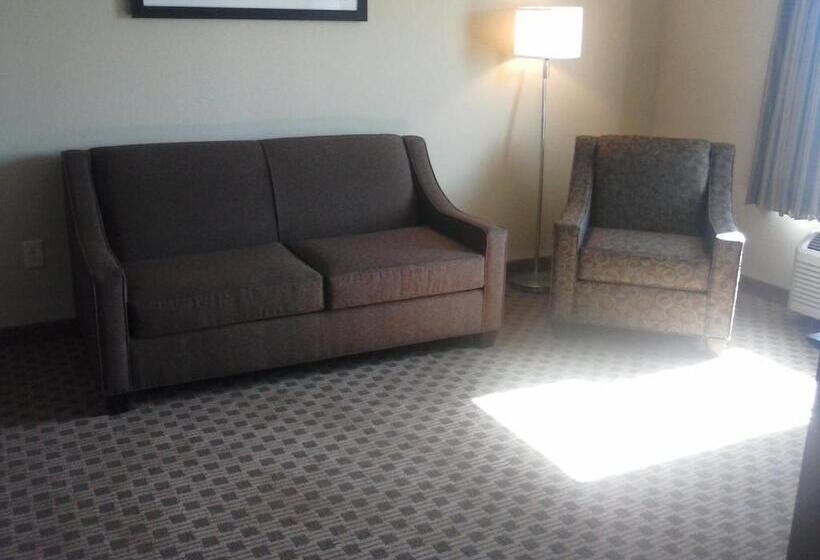 스위트 킹사이즈 침대, Cobblestone Inn & Suites   Avoca