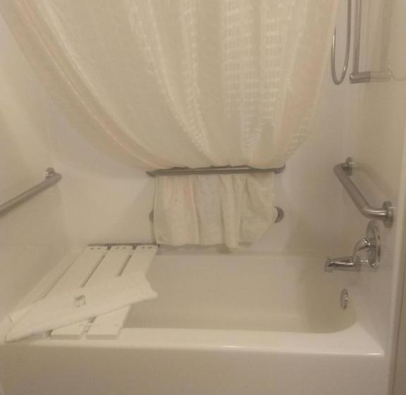 غرفة قياسية لذوى الاحتياجات الخاصة, Cobblestone Inn & Suites   Avoca